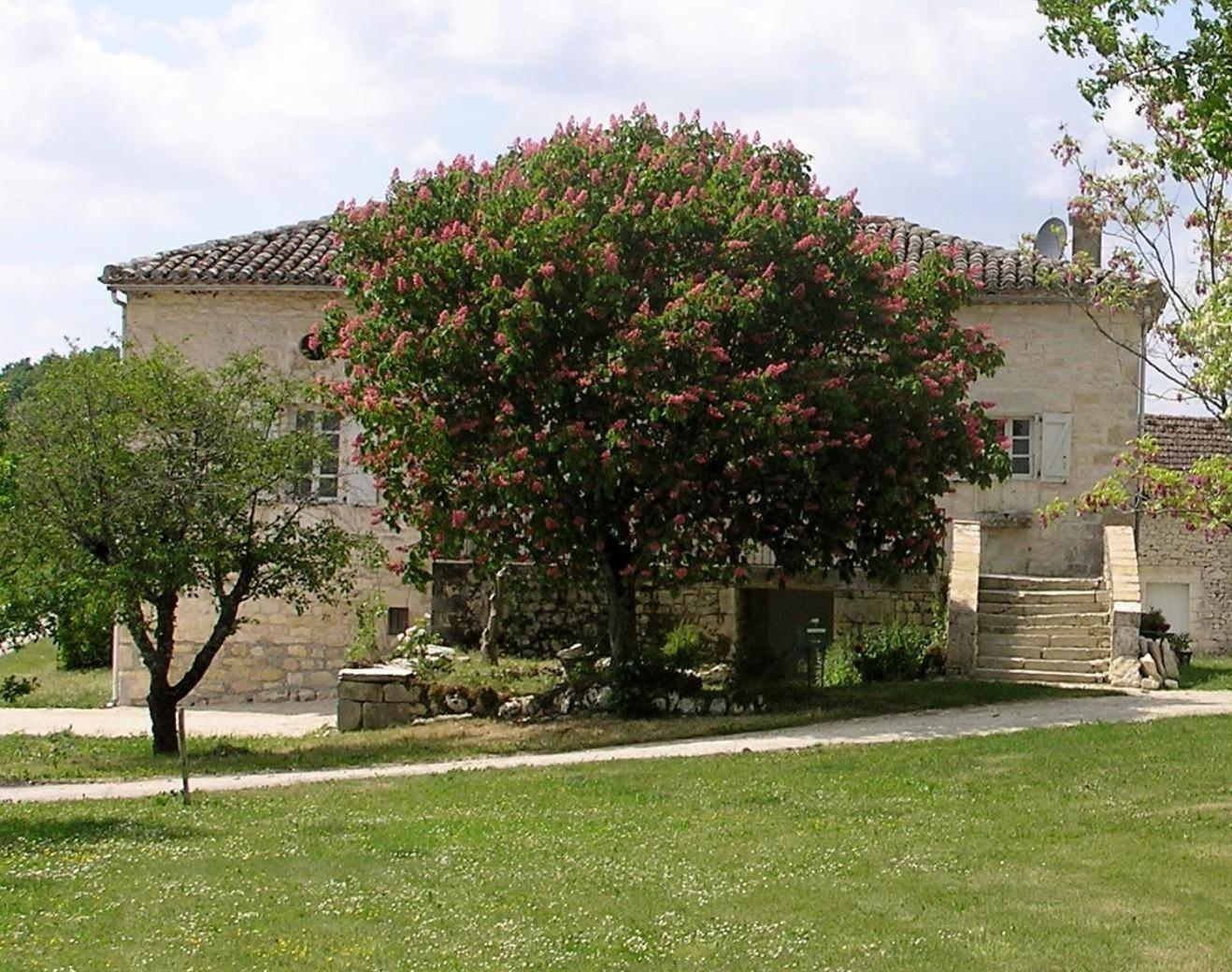 Fontanes Domaine De L'Isle Basse Bed & Breakfast エクステリア 写真