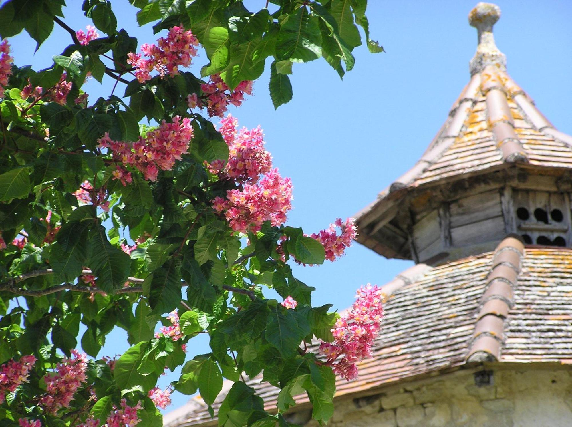 Fontanes Domaine De L'Isle Basse Bed & Breakfast エクステリア 写真